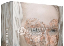 RGGEDU –100组创意色彩配置文件 (兼容Lightroom+Camera Raw ACR)