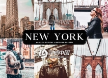 纽约旅拍街头人像风景Lightroom预设 New York Lightroom Presets