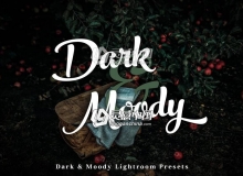 黑暗风格冷色调LR预设 Dark & Moody Lightroom Presets