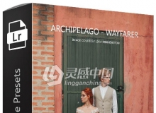 胶片部落Tribe Archipelago旅行者手机APP预设 Wayfarer Mobile Presets