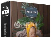 新生儿调色LR预设+LR移动预设Master Newborn Lightroom Desktop & Mobile Presets