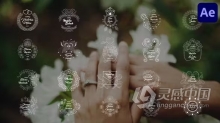 优雅浪漫圣洁花卉藤蔓婚礼标题结婚典礼婚庆活动文本动画AE模板下载 Wedding Titles for After Effects