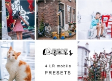 明亮通透INS人像手机版移动APPLightroom预设 COLORS LIGHTROOM PRESET