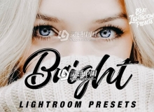明亮裸色婚礼人像LR预设 BestLP Bright Lightroom presets
