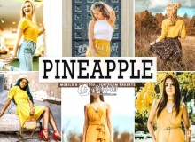 温暖明亮淡黄色调LR预设+手机LR预设 Pineapple Lightroom Presets