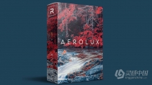 柯达著名红外胶片Aerochrome图像效果LUT调色预设 AEROLUX LUT