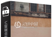 Jessica Whitaker LR预设系列之烟熏妆星期六 SATURDAY Lightroom Presets