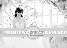 120个高品质时尚婚礼人像Lightroom预设合集 Premium Lightroom Presets