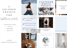 时尚调色LR移动预设 Stylish presets for Lightroom Mobile